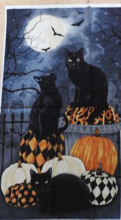 Halloween Katzen