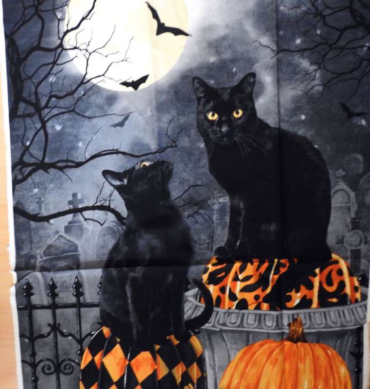 Halloween Katzen