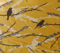 Aviary 2 Sparrows gelb